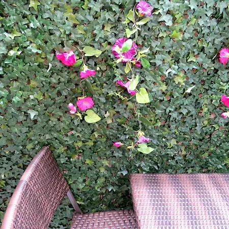 Appartement Istanberry - Sunshine