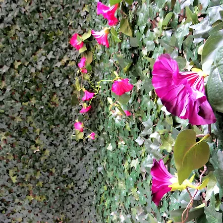 Istanberry - Sunshine فندق