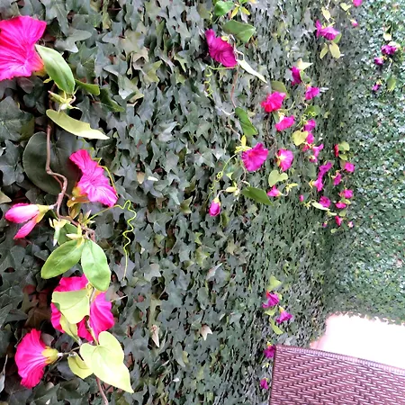 Istanberry - Sunshine Hotel Istambul